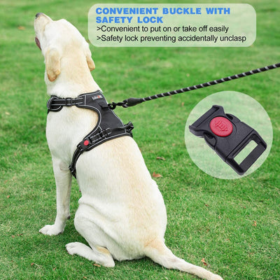 Free Heavy Duty 5ft Dog Leash No Pull Dog Harness Adjustable Reflective Oxford Easy Control Medium Large Dog Harness with A